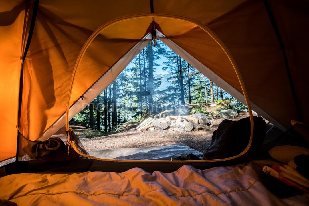 Wilderness Camps